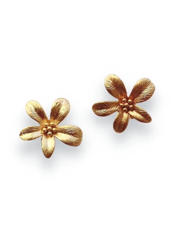 Accessories- Jewelry- Earrings-Georgia Kate